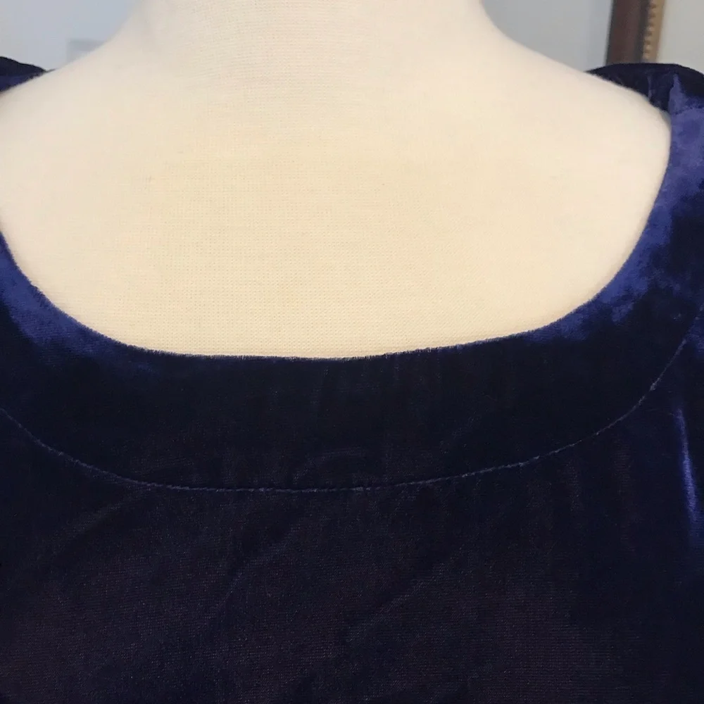 Blue Velvet Top